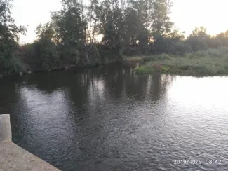 Camalote aguas arriba Valdetorres