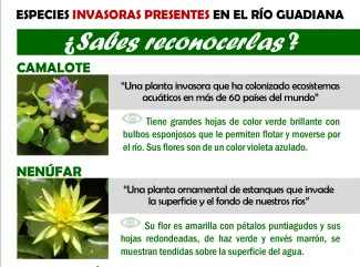 Especies Invasoras 1