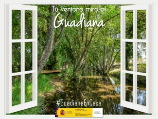Guadiana en casa 2 abril