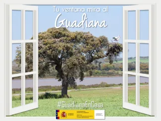 Guadiana en casa 10 abril