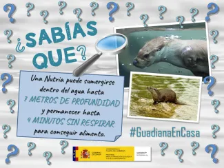 Guadiana en casa 10 abril