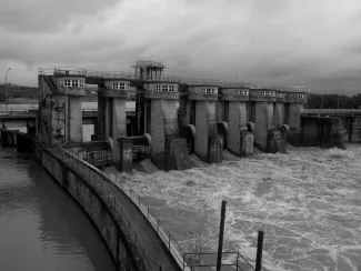 Presa de Montijo 10-01-2017
