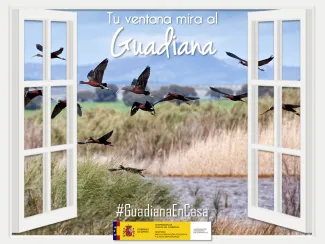 Guadiana en casa 11 abril