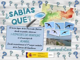 Guadiana en casa 13 abril