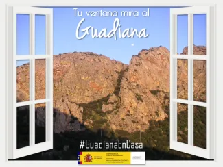 Guadiana en casa 17 abril