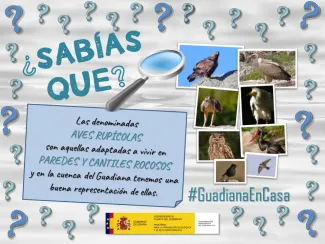 Guadiana en casa 17 abril
