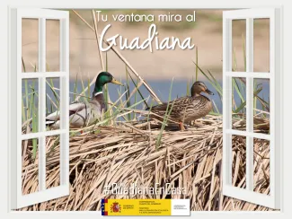 Guadiana en casa 18 abril