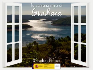 Guadiana en casa 19 abril