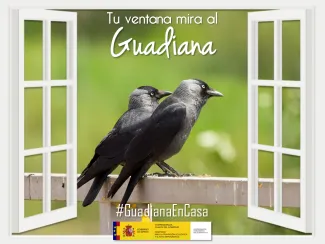 Guadiana en casa 20 abril
