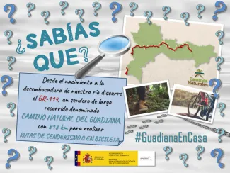 Guadiana en casa 20 abril