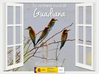 Guadiana en casa 3 abril