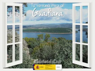 Guadina en casa 4 abril