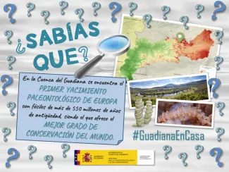 Guadiana en casa 4 abril 2