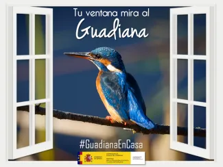 Guadiana en casa 5 abril