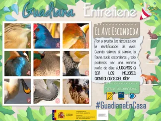 Guadiana en casa 5 abril