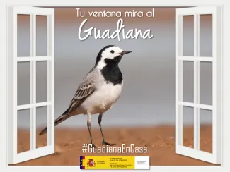 Guadiana en casa 7 abril