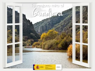 Guadiana en casa 8 abril