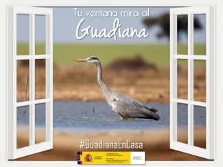 Garza Real