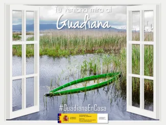 Mancha Húmeda
