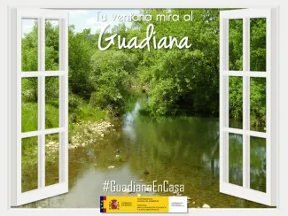 Guadiana en casa 5 mayo