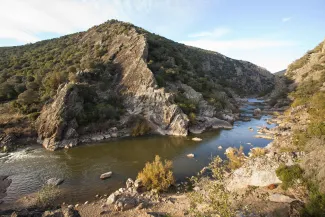 Guadiana