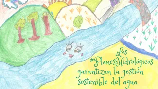 Gestión del agua Planes Hidrológicos