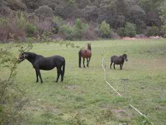 Cerca del río Záncara