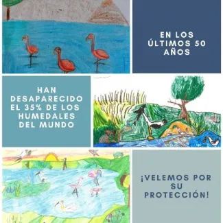 Humedales