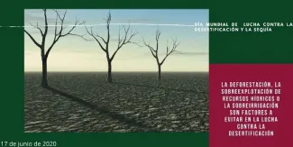 Día mundial lucha contra la desertificación y la sequía