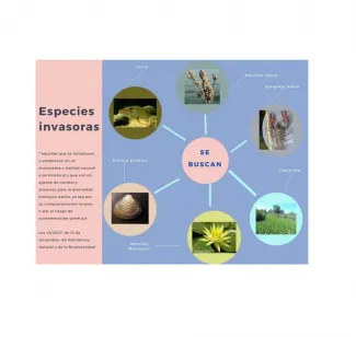 Especies invasoras