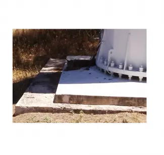 Lince en Los Molinos