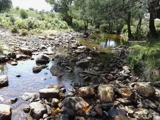 La Confederación Hidrográfica del Guadiana celebra las jornadas sobre Temas Importantes del tercer ciclo de planificación hidrológica