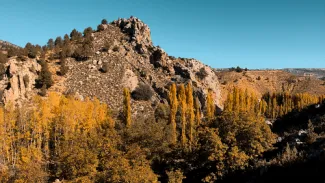 Aprobada la Estrategia Nacional de Infraestructura Verde y de la Conectividad y Restauración Ecológicas, clave para recuperar los ecosistemas...