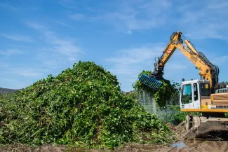 El tramo afectado por camalote se reduce a poco más de siete kilómetros