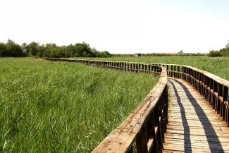 La Comisión Mixta de Gestión de los Parques Nacionales de Castilla-La Mancha acuerda reactivar el bombeo de agua a las Tablas de Daimiel