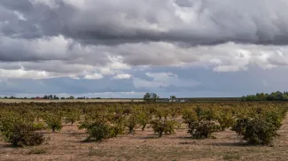 Las Juntas de Explotación de las Masas de Agua Subterránea Mancha Occidental II y Lillo- Quintanar proponen el Régimen de Extracciones para la...