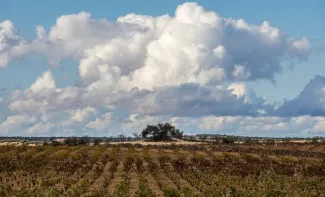 La Confederación Hidrográfica del Guadiana convoca a las Juntas de Explotación de las Masas de Aguas Subterráneas del Alto Guadiana