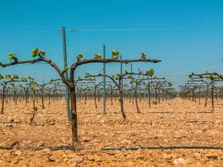 Se reúne la Junta de Gobierno de la Confederación Hidrográfica del Guadiana