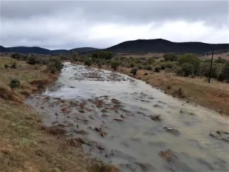 Los embalses de la cuenca del Guadiana, gestionados por la CHG, se encuentran al 33,7% de su capacidad total