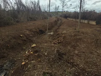La CHG realiza trabajos de tratamiento de vegetación para evitar desbordamientos no naturales en el Arroyo de El Peral