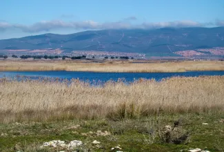 Las reducciones aplicadas en el Régimen de Extracciones 2020 aprobado para la MASb Mancha Occidental II están debidamente justificadas