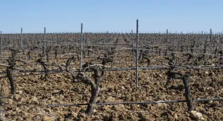 El coste unitario del agua a los efectos de la valoración  de los daños causados al dominio público hidráulico  por extracciones ilegales de agua...