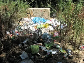 La Confederación Hidrográfica del Guadiana procederá al cierre de accesos para vehículos y reforzará las plantaciones en el entorno de los ríos...