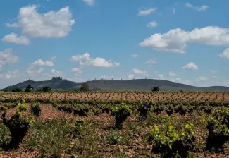 La Confederación Hidrográfica del Guadiana adjudica trabajos para la mejora del conocimiento de masas subterráneas del Alto Guadiana