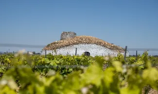 La Confederación Hidrográfica del Guadiana lanza una nueva campaña de concienciación para promover comportamientos responsables en el uso del agua