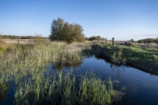 La Confederación Hidrográfica del Guadiana celebra el  primer taller territorial para debatir sobre el Tercer  Ciclo del Plan Hidrológico 2022-2027
