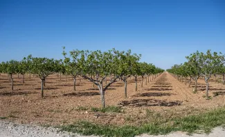 Las Juntas de Explotación de las Masas de Agua Subterránea Mancha Occidental II y Sierra de Altomira proponen el Régimen de Extracciones para la...