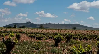 La Confederación Hidrográfica del Guadiana convoca a las Juntas de Explotación de las Masas de Aguas Subterráneas de la cuenca del Guadiana