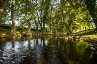 Aprobado en Junta de Gobierno de la Confederación Hidrográfica del Guadiana el Programa de Actuación de la Masa de Agua Subterránea de Tierra de...