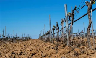 La Junta de Gobierno de la Confederación Hidrográfica del Guadiana aprueba los Regímenes de Extracciones para 2022 de las nueve Masas de Agua...
